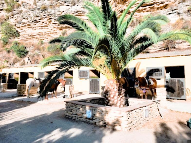 Hacienda Puerto De Las Muelas Ronda Exterior foto